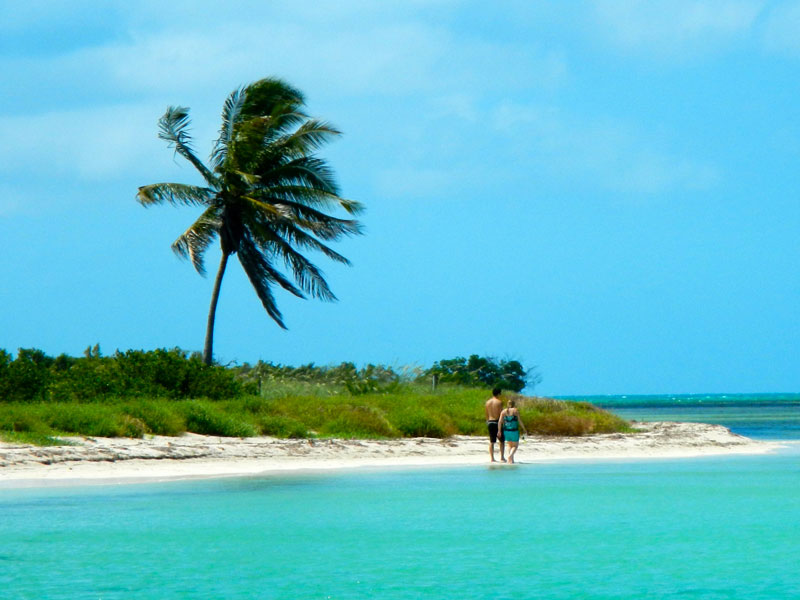 photo of a couple walking alone on a private island with turquoise waters and a palm tree