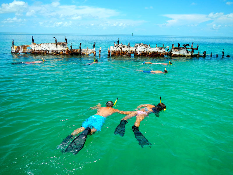 photo of tourists snorkeling around a shipwreck