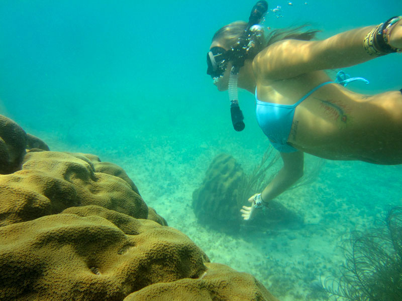 underwater photo of a female snorkeling