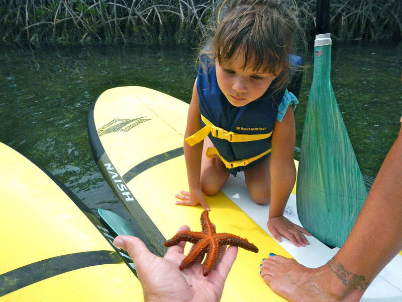 photo of a young girl on a paddle board looking at a star fish in a mans hand